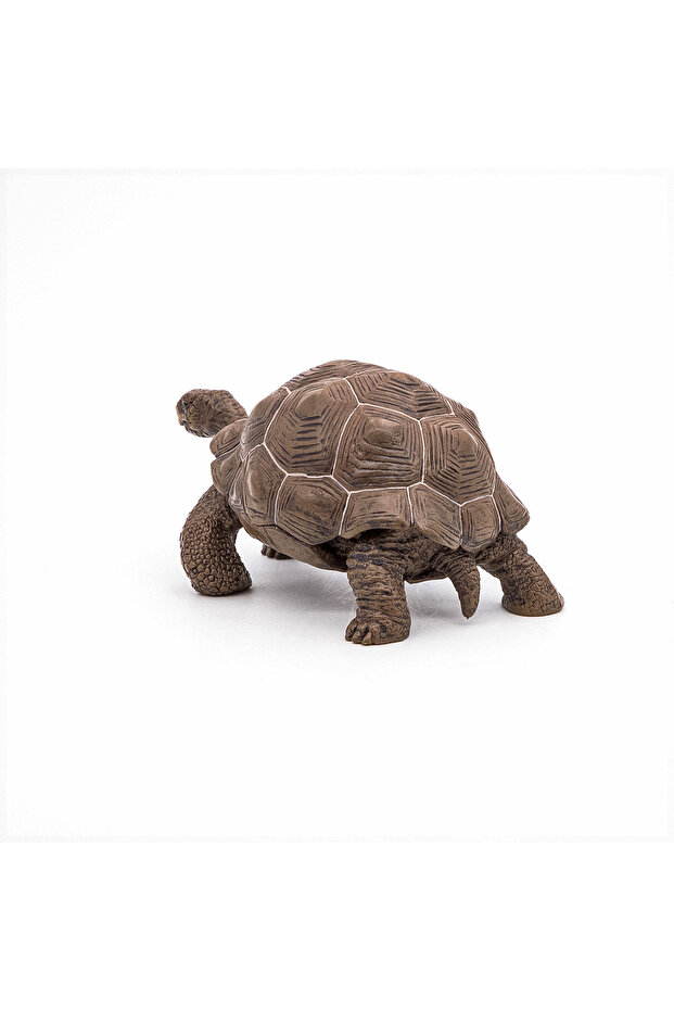 GALAPAGOS TURTLE FIGURINE - 5