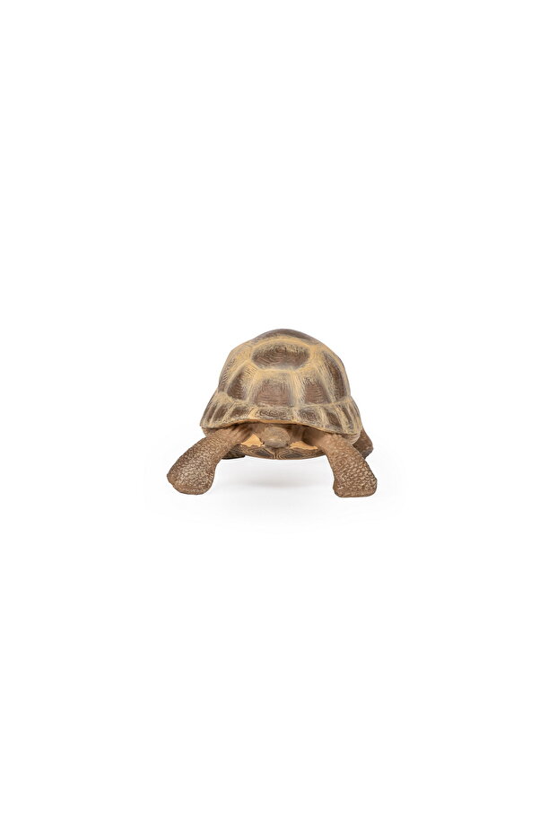 DRYING TURTLE FIGURINE - 1
