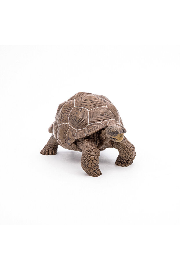 GALAPAGOS TURTLE FIGURINE - 2