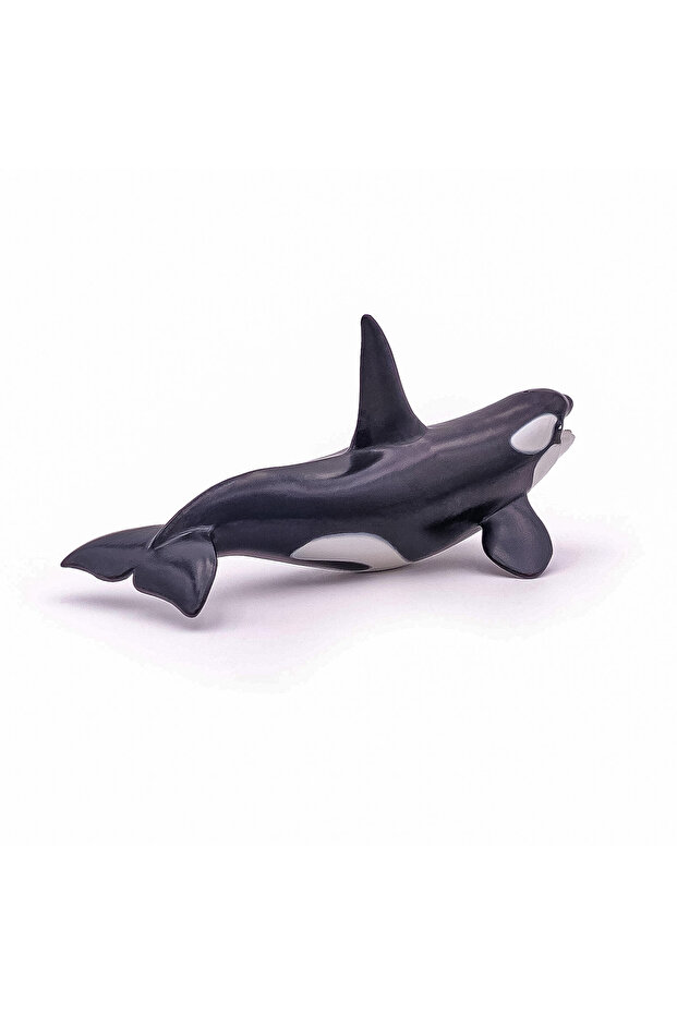 Killer Whale Figurine - 6