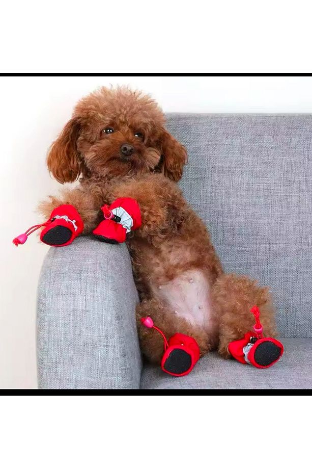 Köpek Ayakkabı Koşu Su Geçirmez 4 Adet - 1