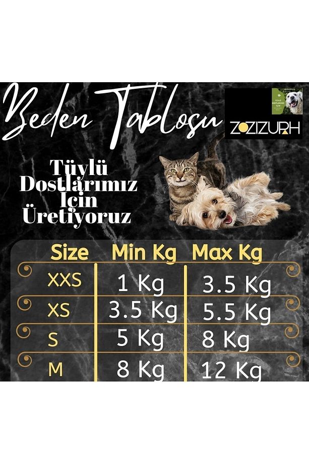 Köpek Tasması ( Göğüs Tasması ) Gezdirme Kayışı Set - 7
