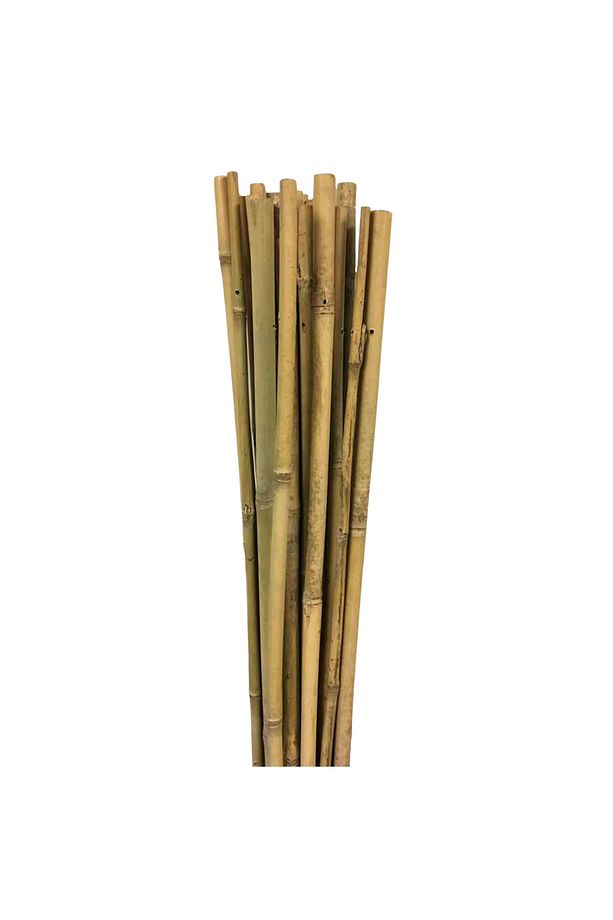 Fidan Dikim Destek Çubuğu 10 Adet (150cm) - 2