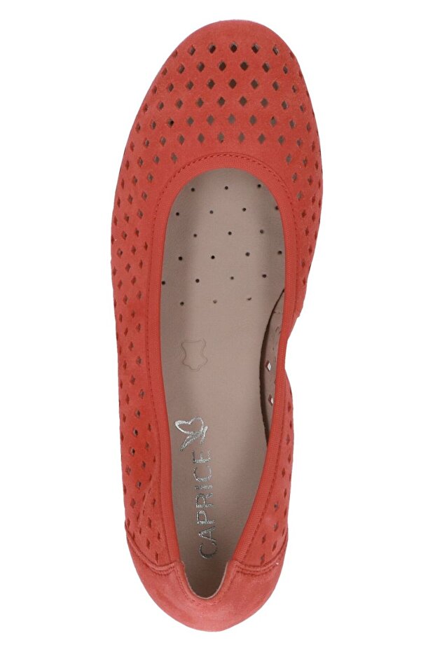 Μπαλαρίνες - 4