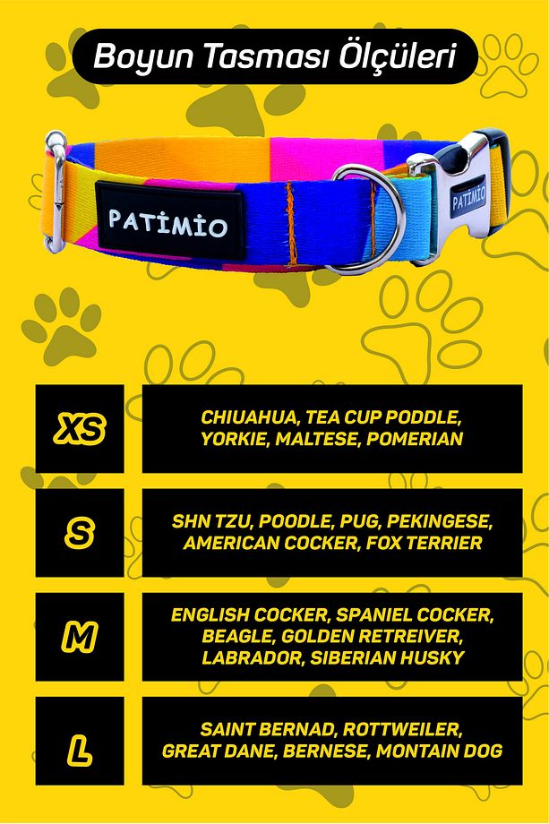 Colorful Köpek Boyun Ve Gezdirme Tasma Seti - 7