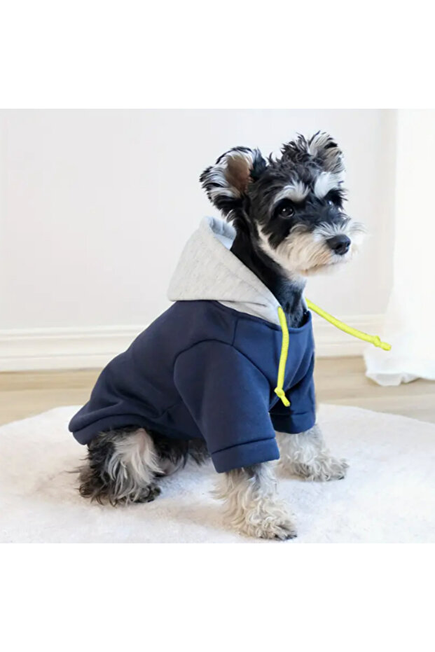Örgü Kapşonlu Köpek Sweatshirt