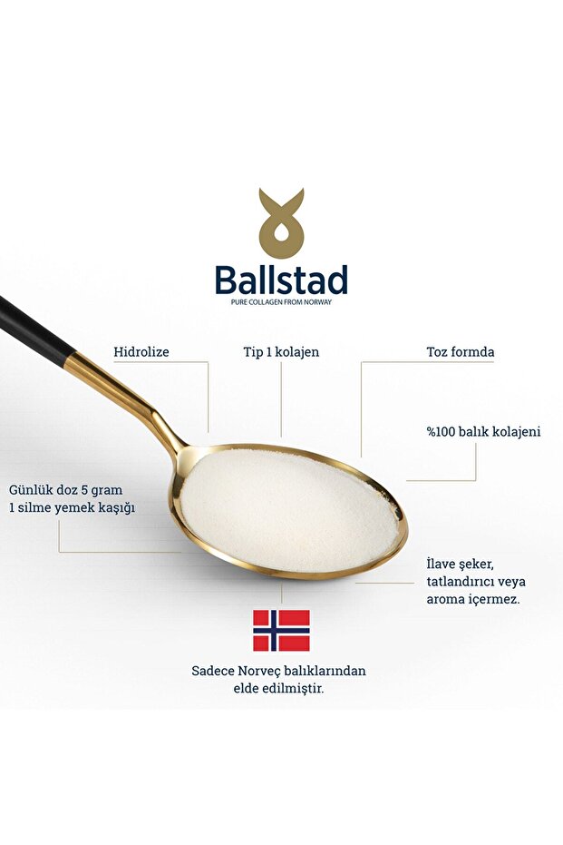 Norveç Somon Kolajeni - 2