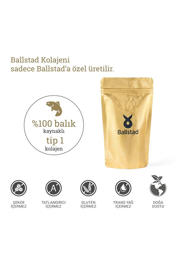 Norveç Somon Kolajeni - 4