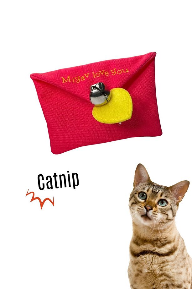 Peluş Mektup Catnipli Kedi Oyuncağı Çıngıraklı ve Catnip Cepli Sesli Kedi Oyuncağı 12 CM - 1