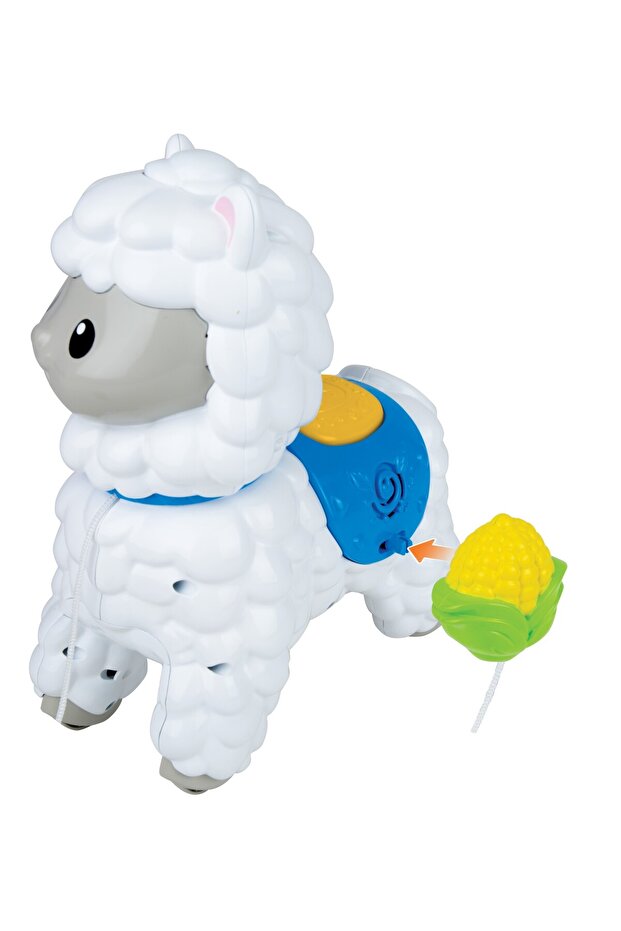 Alpaca Push Toy - 4
