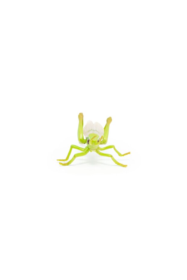 Grasshopper Figurine - 5