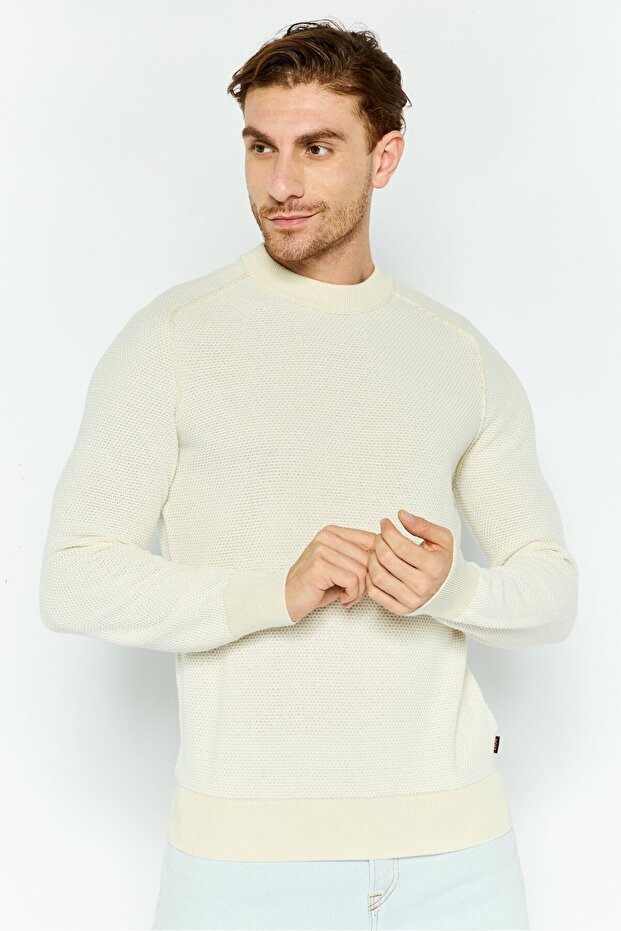 Men Crew Neck Long Sleeves Knitted Sweater, Beige