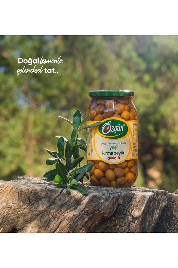 Ayvalık Yeşil Kırma Zeytin 1'lik Cam Kavanoz - 5