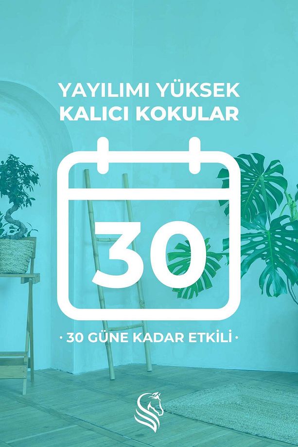 Temizlik Hissi Çubuklu Oda Kokusu Clean Breeze Reed Diffuser 100ml - 3