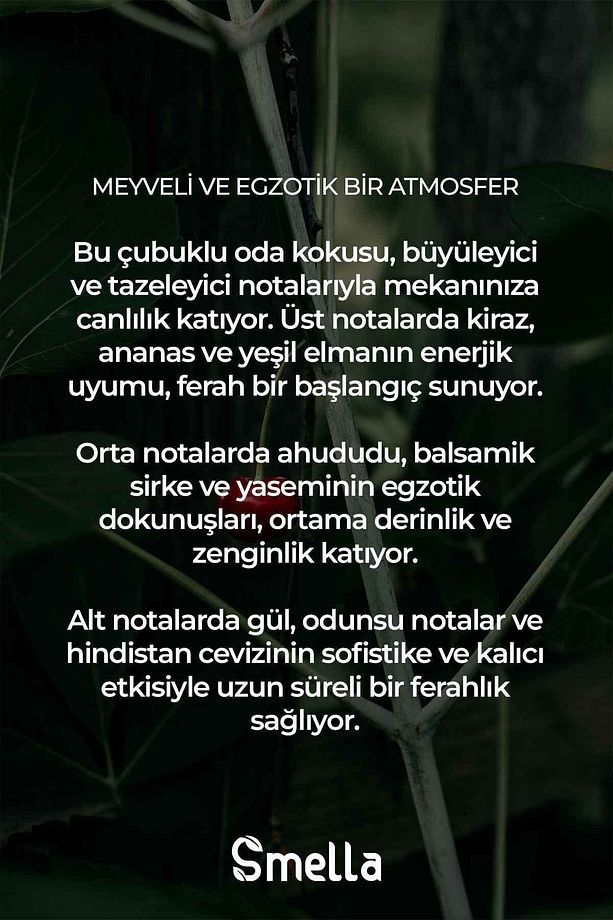 Manolya Oda Çubuklu Oda Kokusu Magnolia Cherry Reed Diffuser 50ml - 5