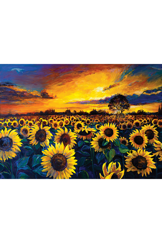 Yappuzz Güneş Hasatı 1000 Parça Puzzle - 2