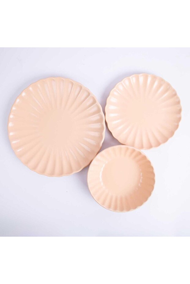 طبق عشاء كبير من سولانا - 4