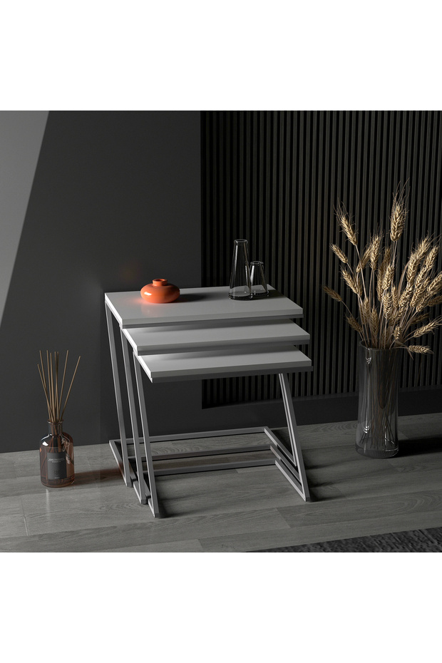 ZEMLAN ZİGON SEHPA - 1