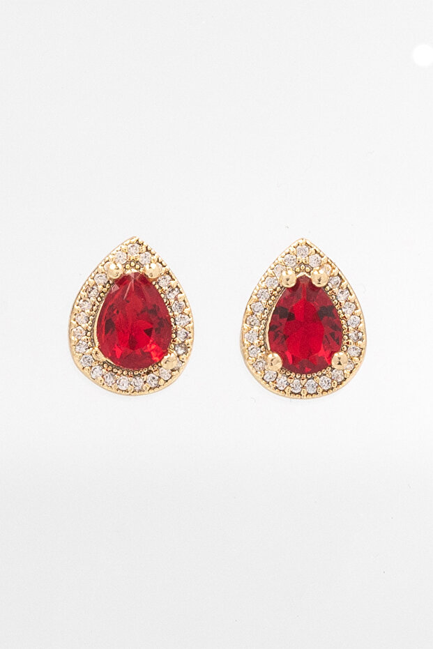 Women's Red Drop Stone Earrings - Gold Color