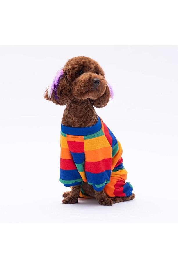 Ruby Gökkuşağı Penye Tulum Kedi Köpek Tulumu Kedi Köpek Kıyafeti Köpek Pijaması - 5