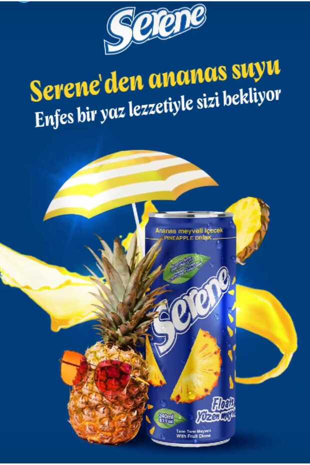 PARÇACIKLI ANANAS SUYU 240 ML (24 ADET) - 2