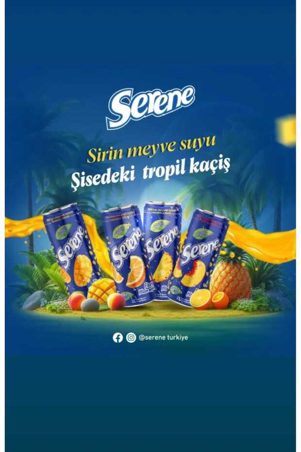 PARÇACIKLI ANANAS SUYU 240 ML (24 ADET) - 4