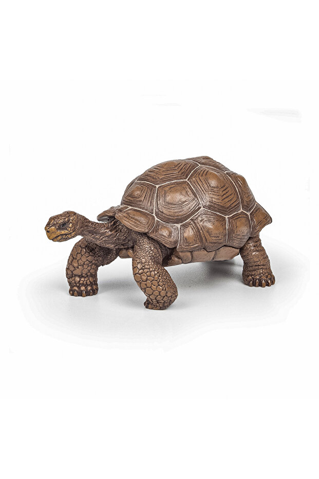 GALAPAGOS TURTLE FIGURINE - 1