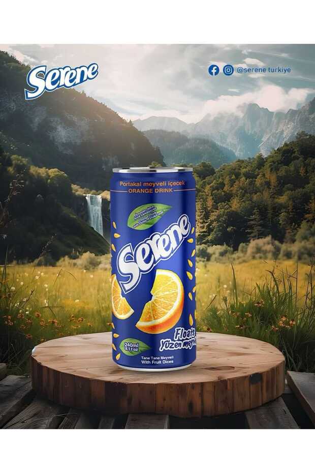 PARÇACIKLI ANANAS SUYU 240 ML (24 ADET) - 8