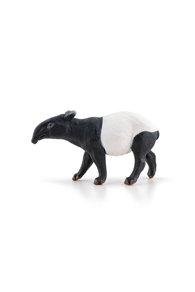 ΕΙΔΩΛΙΟ ΤΑΠΙΡΟΥ - 2