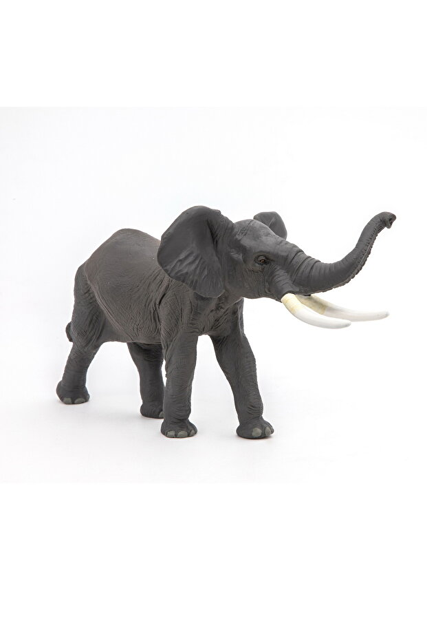 ΕΛΑΦΑΝΤΟ ΕΙΔΩΛΟ - 3