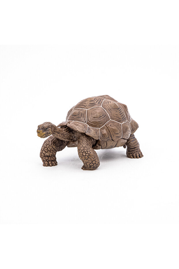GALAPAGOS TURTLE FIGURINE - 4
