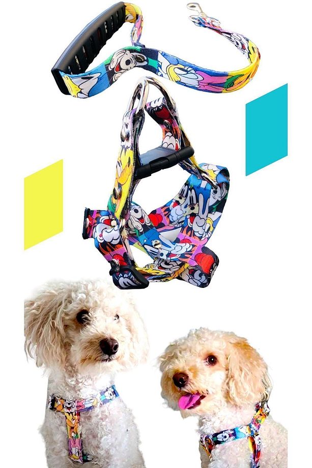 Köpek Tasması ( Göğüs Tasması ) Gezdirme Kayışı Set - 8