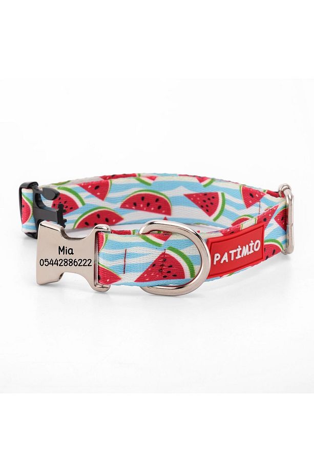 Watermelon Isimli Köpek Tasması Ve Gezdirme Seti, Köpek Künyesi, Köpek Isimlik, Isme Özel Tasma - 3