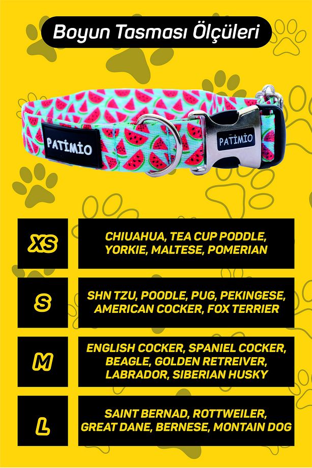 Spring Isimli Köpek Tasması Ve Gezdirme Seti, Köpek Künyesi, Köpek Isimlik, Isme Özel Tasma - 8