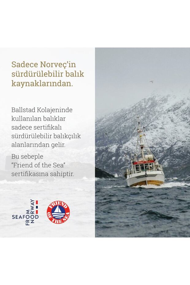 Norveç Somon Kolajeni - 5