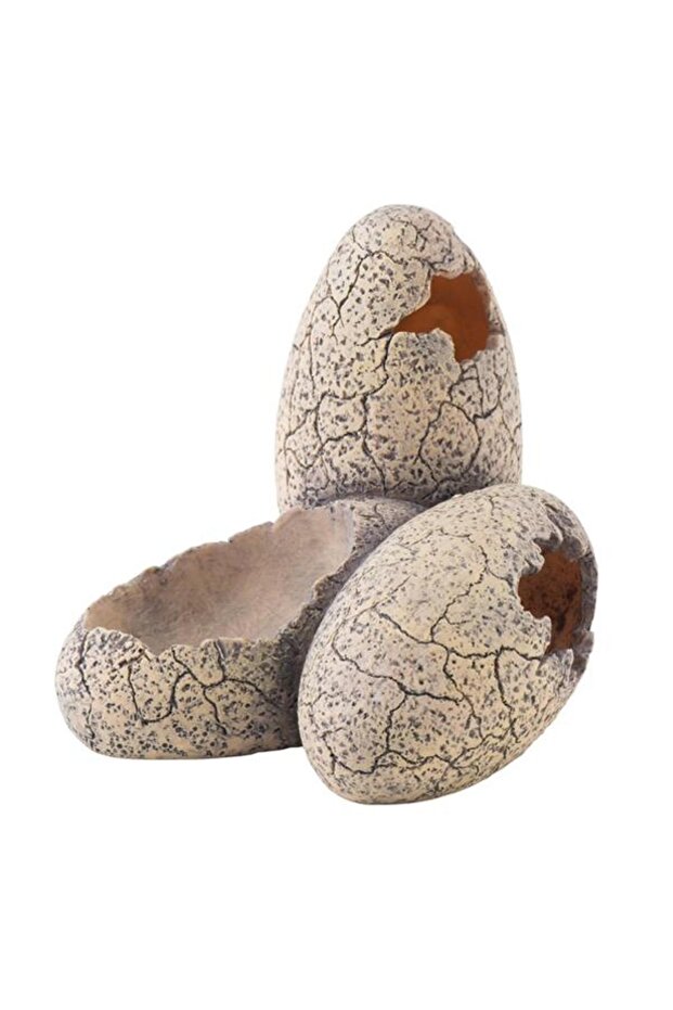 Dinazor Yumurtası - 1