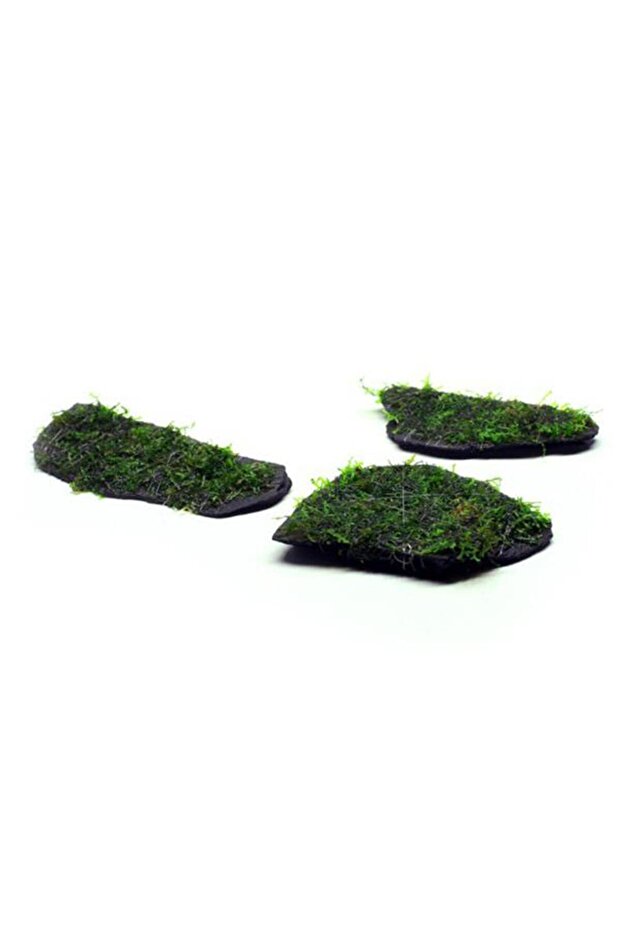 Moss Rock - 5