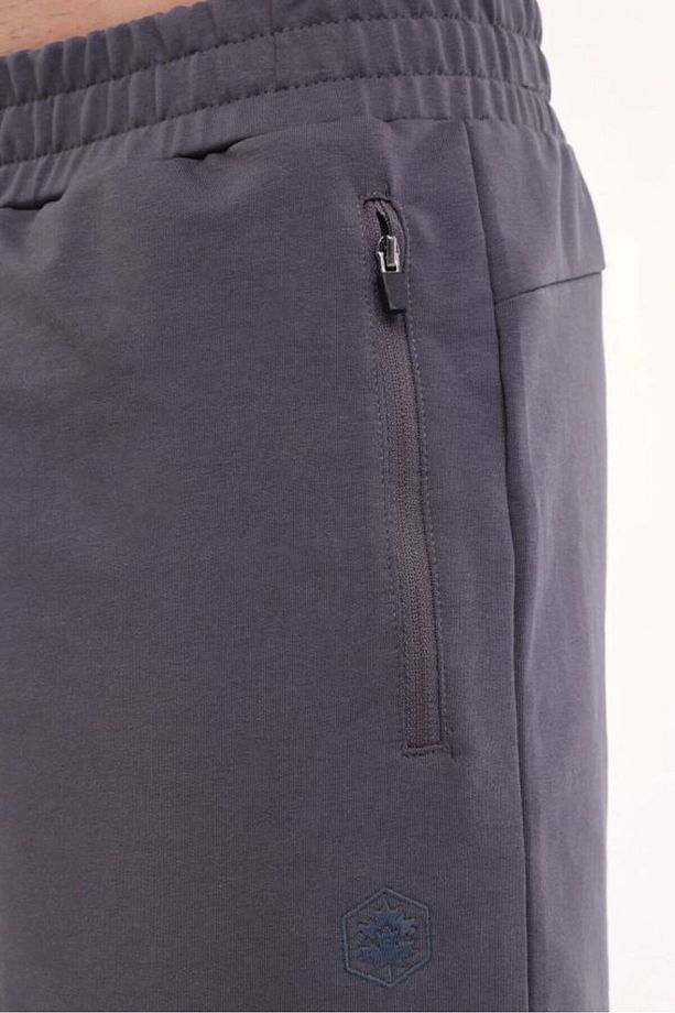 CT103 Basic Short 5FX Gri Erkek Şort 101939490 - 4