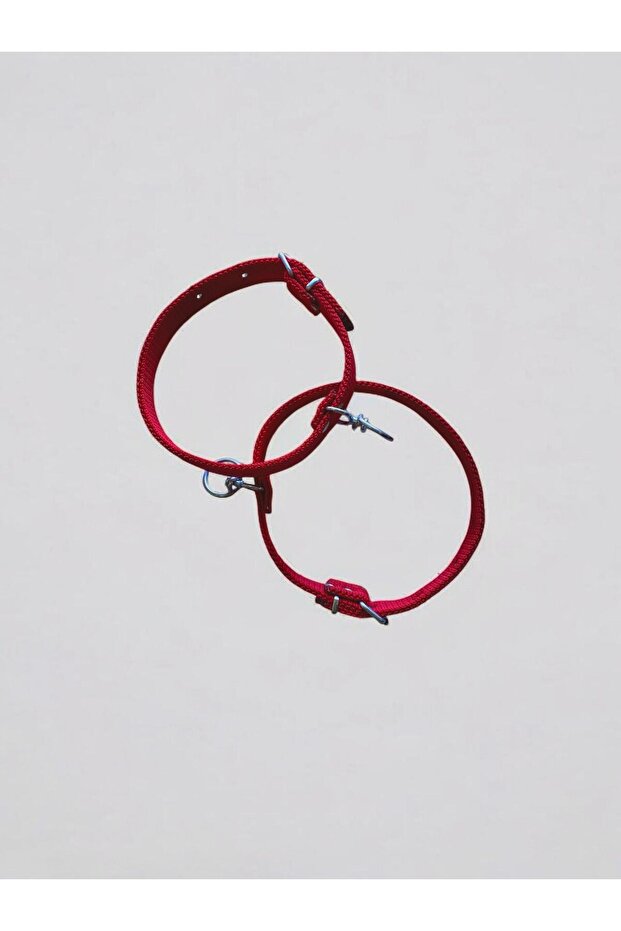 طوق كلب كبير الحجم - 2