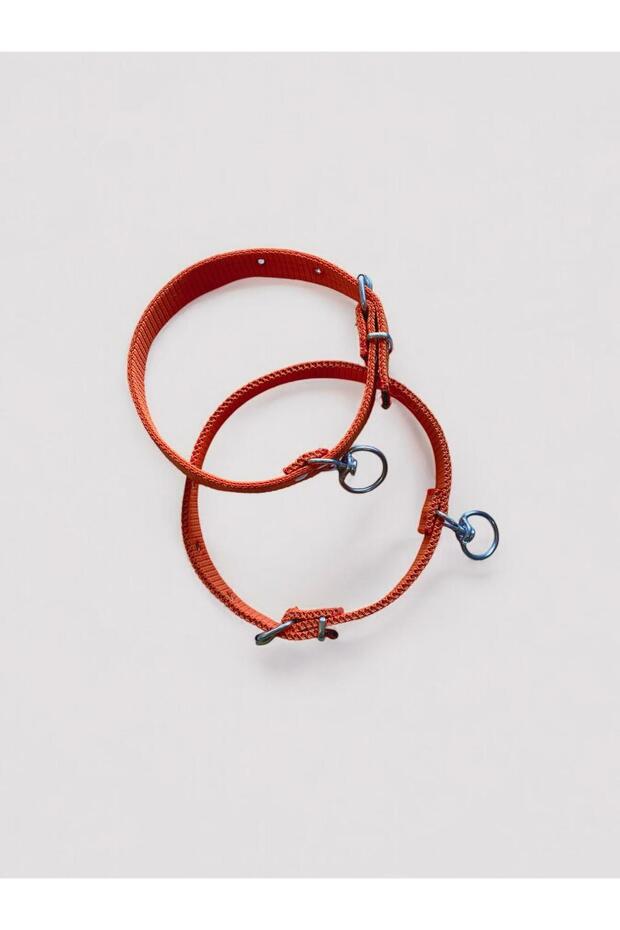 طوق كلب كبير الحجم - 2