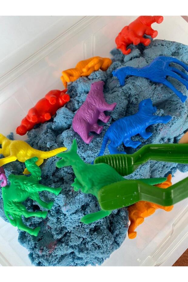 Montessori Material Wild Animals Activity Box