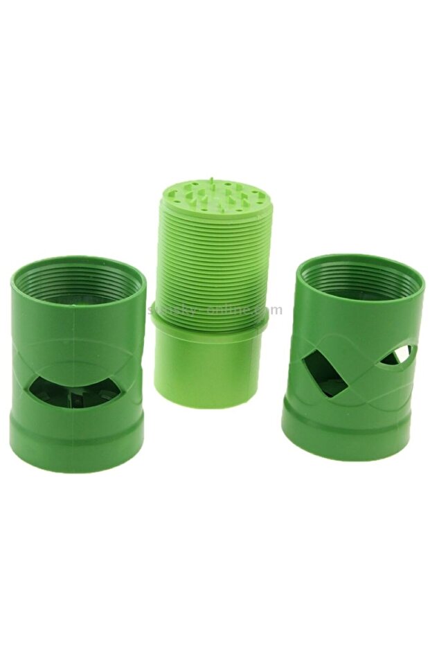 المقشرة الحلزونية - 2