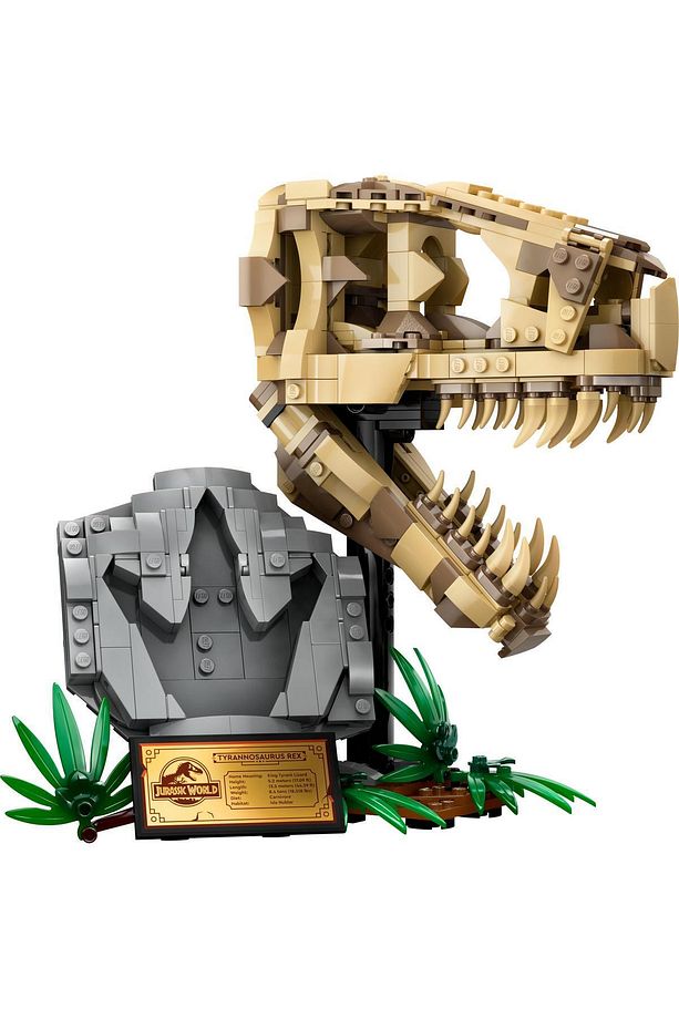 ® Jurassic World Dinozor Fosilleri: T. rex Kafatası 76964- 9+ Oyuncak Dinazor Yapım Seti (577 P) - 3