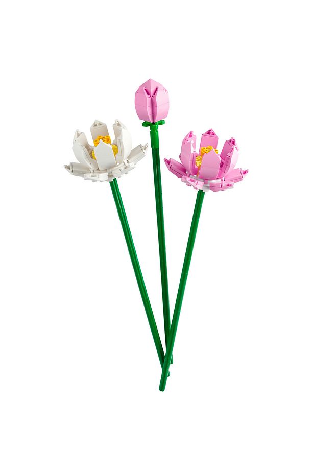 ® Botanicals Lotus Çiçekleri 40647 - 8+ Yaratıcı Oyuncak Yapım Seti (220 Parça) - 5