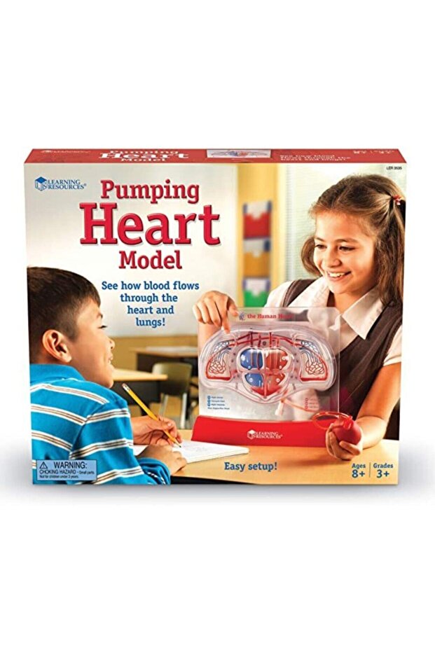 نموذج ضخ القلب - 1