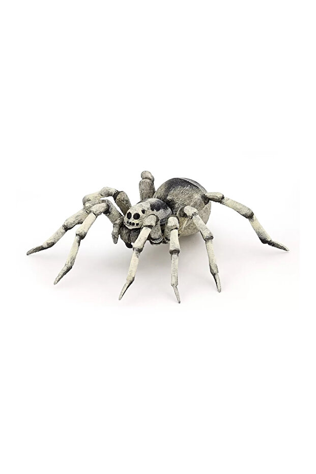 tarantula saldırısı - 1