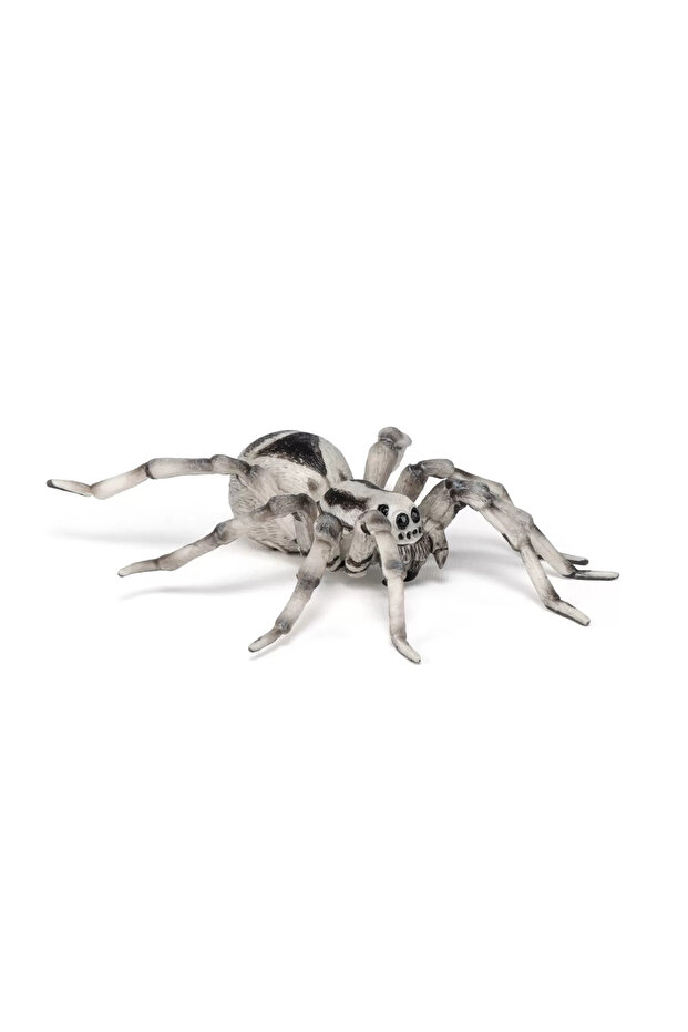 tarantula saldırısı - 3