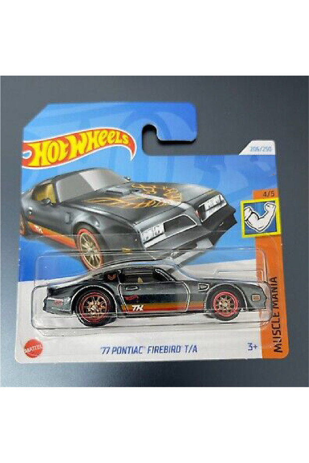 Sth'77 Pontiac Firebird T/A 2024L Case Very Rare Model Car.