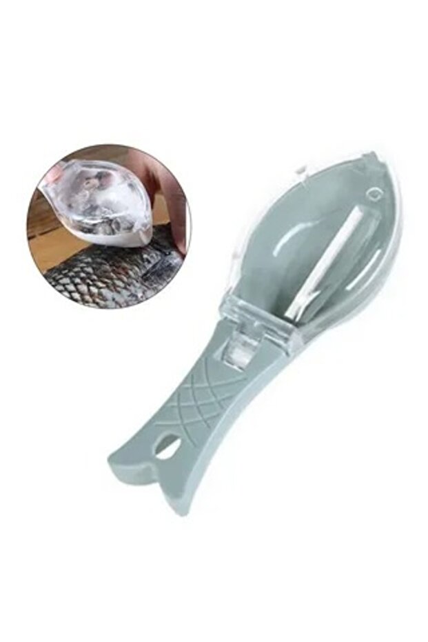 Fish grater with scale collection container - 1