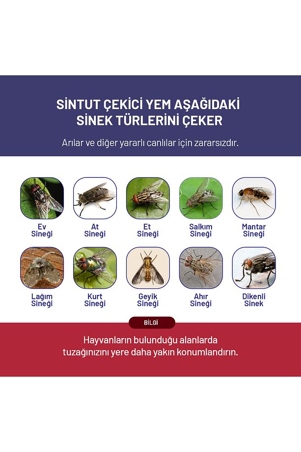 5 Adet Sintut Medium | Karasinek Tuzağı - 6